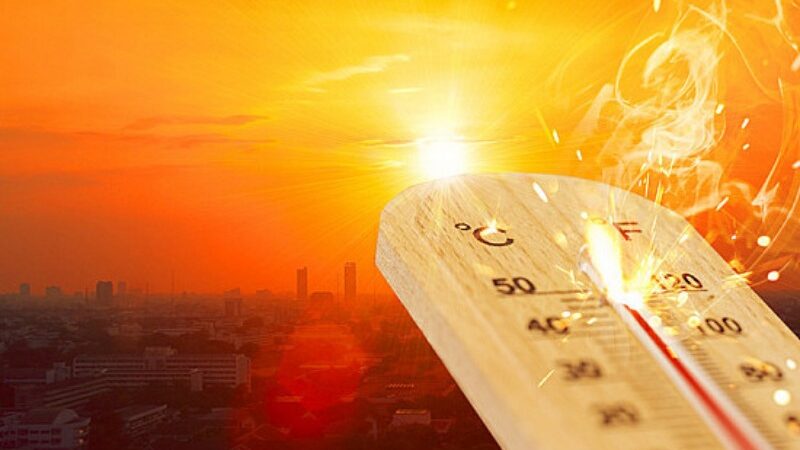 4 Useful Strategies for Handling Heat-Related Illnesses