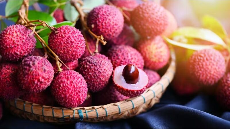 5 Amazing Health Advantages of Eating Litchi in The Summer | Better Digestion to a Healthy Heart