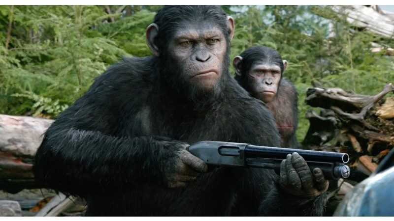 Box Office: “Kingdom of the Planet of the Apes” Hopes for an Opening Weekend of at Least $50 Million