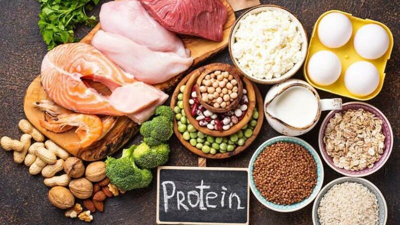 The Protein Puzzle: Sources of Healthy Protein Other Than Chicken
