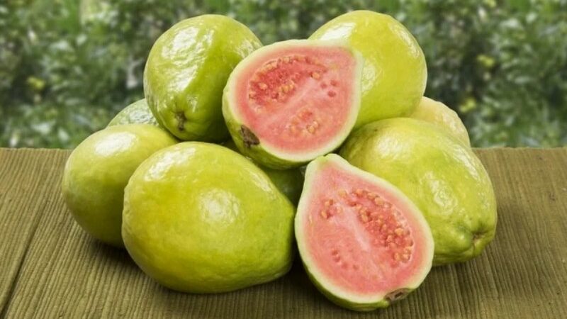 5 Health Advantages of Including Guava in Your Diet