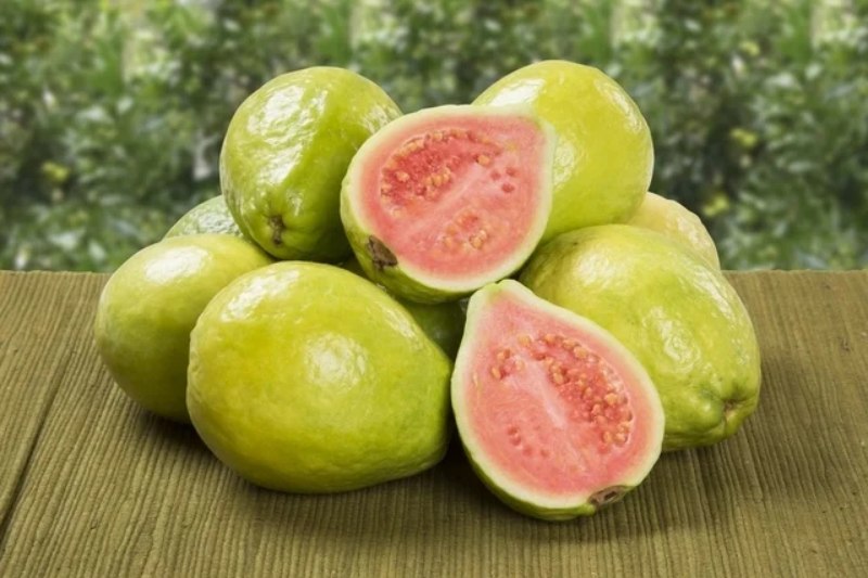 5 Health Advantages of Including Guava in Your Diet