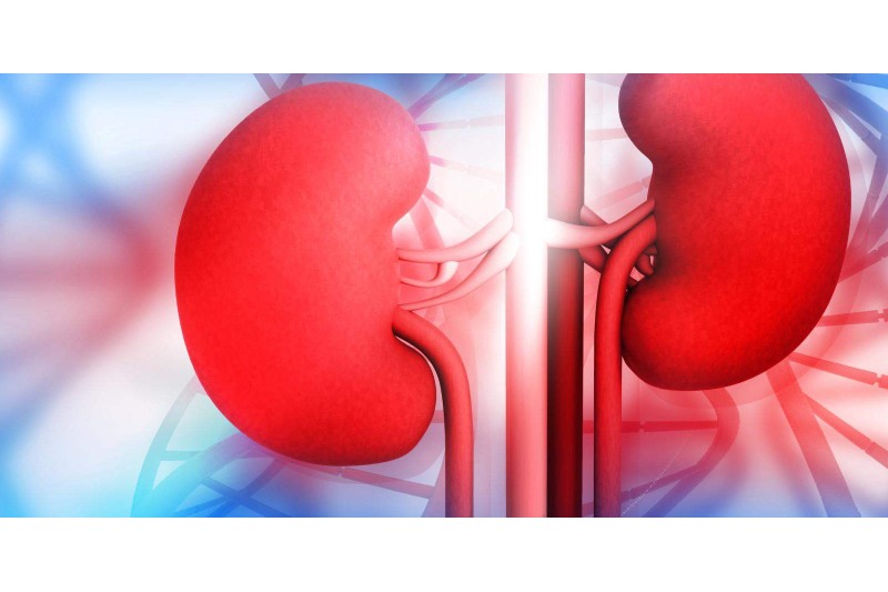 5 Routines for Better Kidney Health: Summertime Safety Advice