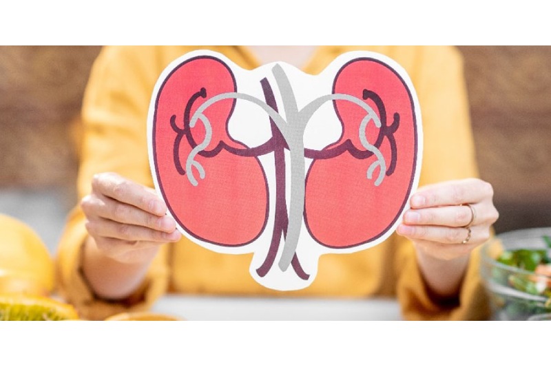 Tips For Renal Health: 7 Foods You Should Never Eat If You Have Chronic Kidney Disease