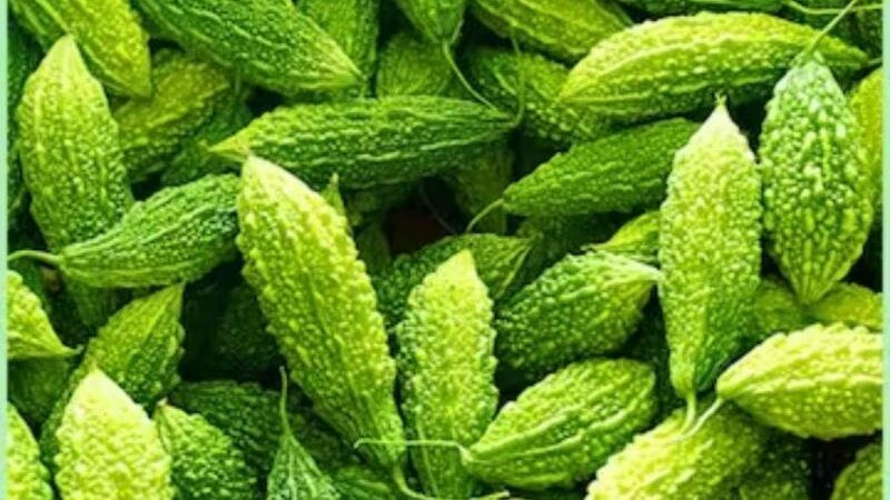 5 Exceptional Health Advantages Of Consuming Bitter Gourd (Karela) During Monsoon