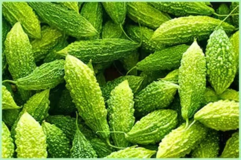 5 Exceptional Health Advantages Of Consuming Bitter Gourd (Karela) During Monsoon