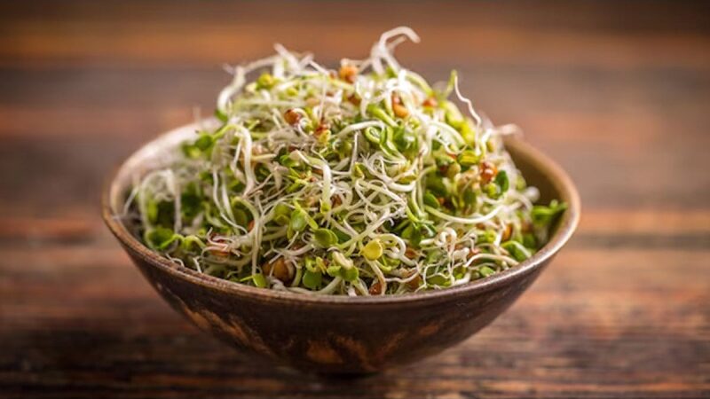 Benefits Of Sprouts For Health Include Better Digestion, Weight Management, Increased Immunity, And More