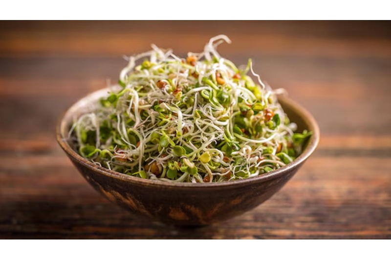 Benefits Of Sprouts For Health Include Better Digestion, Weight Management, Increased Immunity, And More