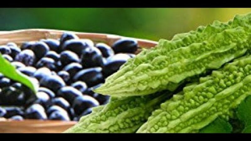 Body Weight Control: Jamun And Karela For Overall Fitness