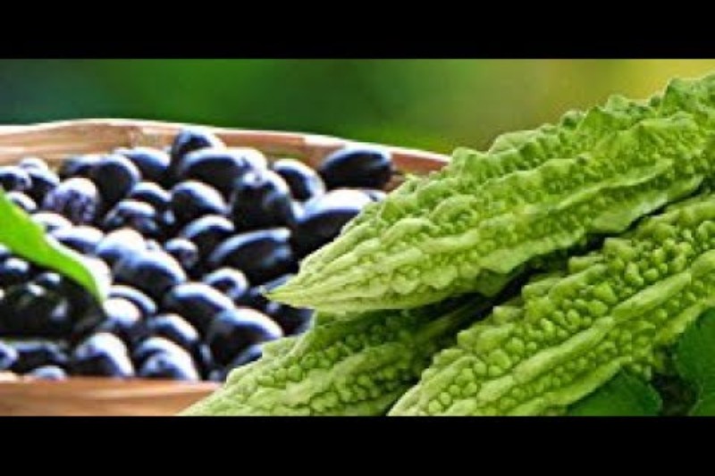 Body Weight Control: Jamun And Karela For Overall Fitness
