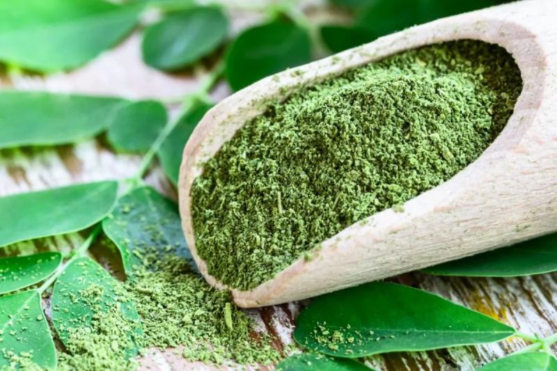 Diabetes Medication Advice: 5 Ways Blood Sugar Can Be Managed With Amla Moringa Juice