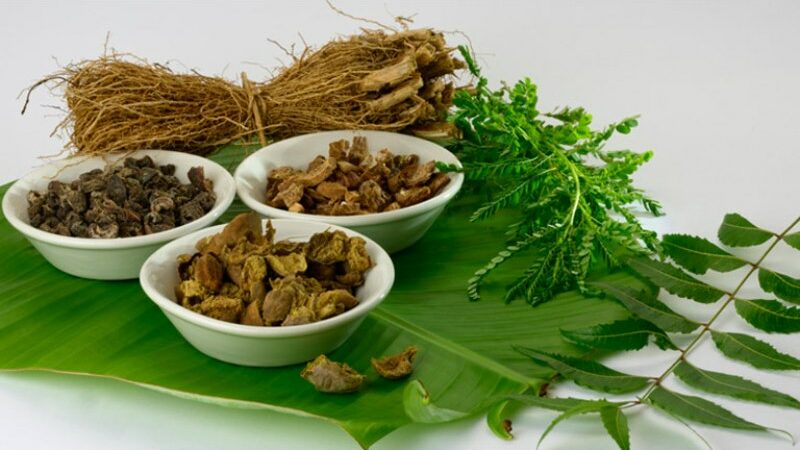 Hypoglycemia Treatment Using Ayurvedic Herbs: Ashwagandha, Neem, Cinnamon, Amla, And More