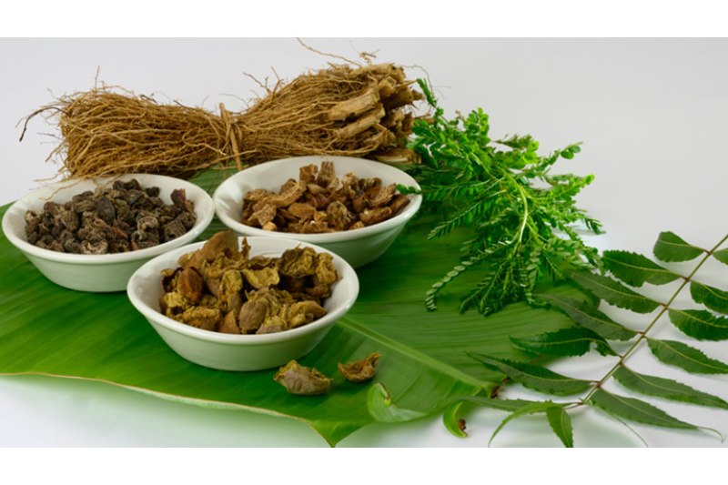 Hypoglycemia Treatment Using Ayurvedic Herbs: Ashwagandha, Neem, Cinnamon, Amla, And More