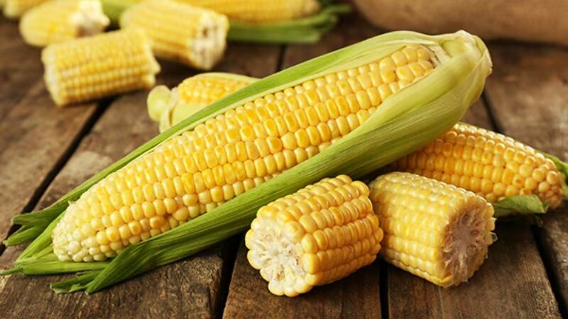 Increased Blood Circulation For Anti-Aging: 5 Incredibly Important Reasons To Eat Sweet Corn Every Day