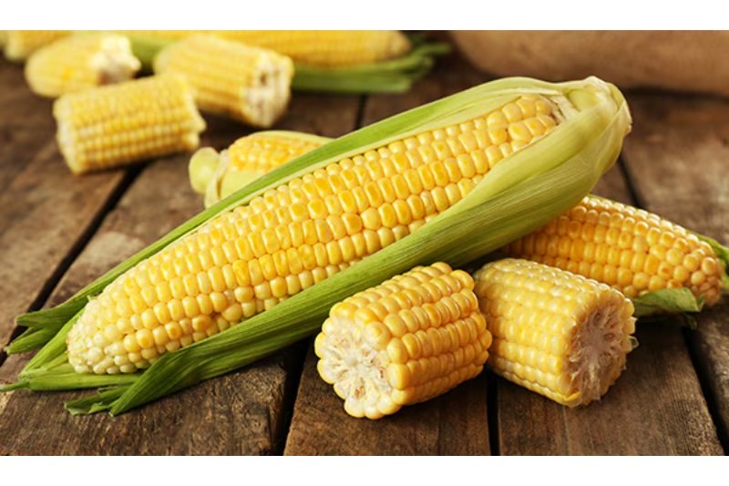 Increased Blood Circulation For Anti-Aging: 5 Incredibly Important Reasons To Eat Sweet Corn Every Day