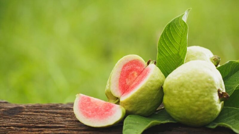 6 Health Benefits Eating Guavas In Monsoon