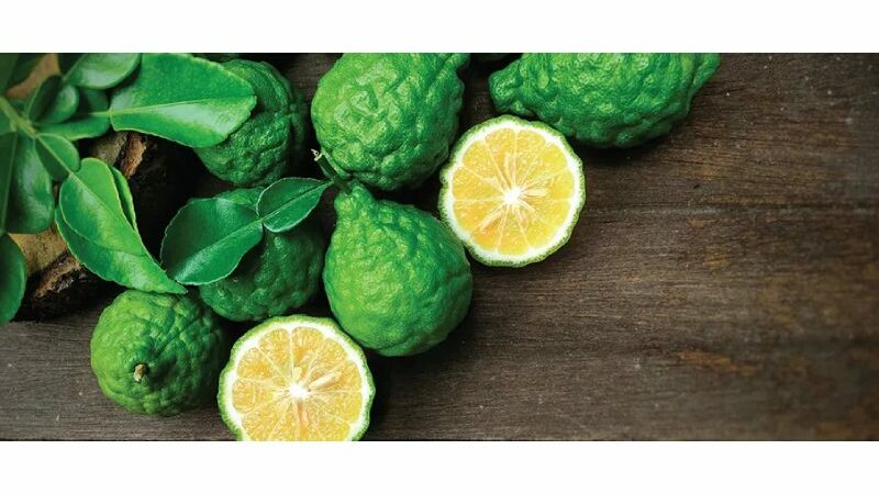 Benefits of Bergamot for Health: Prevent Heart Disease, Strengthen the Immune System