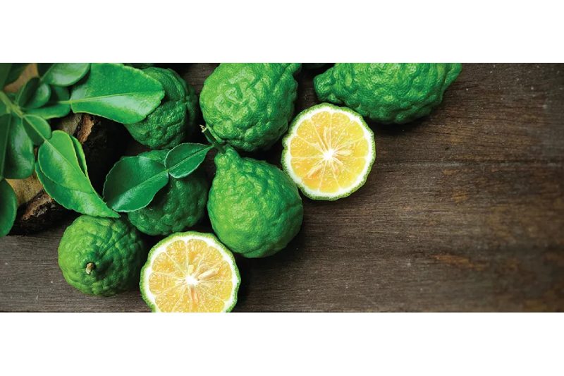 Benefits of Bergamot for Health: Prevent Heart Disease, Strengthen the Immune System