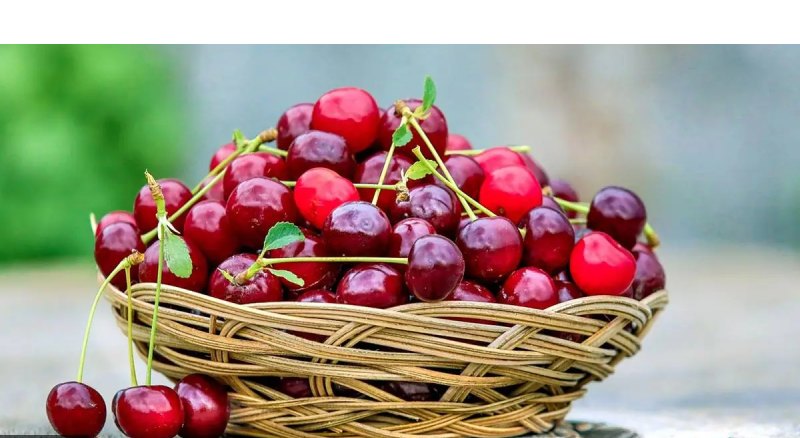 Cherry Health Benefits: Promote Muscle Recovery, Loss Of Weight, And More