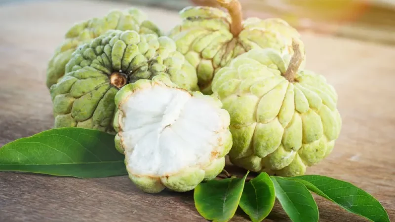 Custard Apples Have Surprising Health Benefits, Proving They Are Much More Than Just a Delicious Fruit