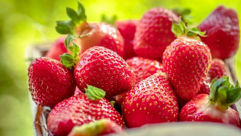 Health Benefits Of Strawberries Include Being A Superfood For Wrinkles, Hypertension, And Memory