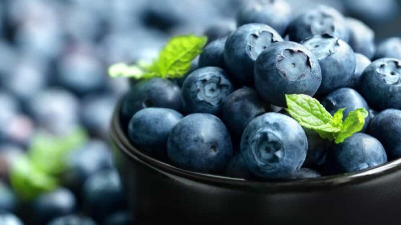 5 Proven Health Advantages of Eating Blueberries Every Other Day