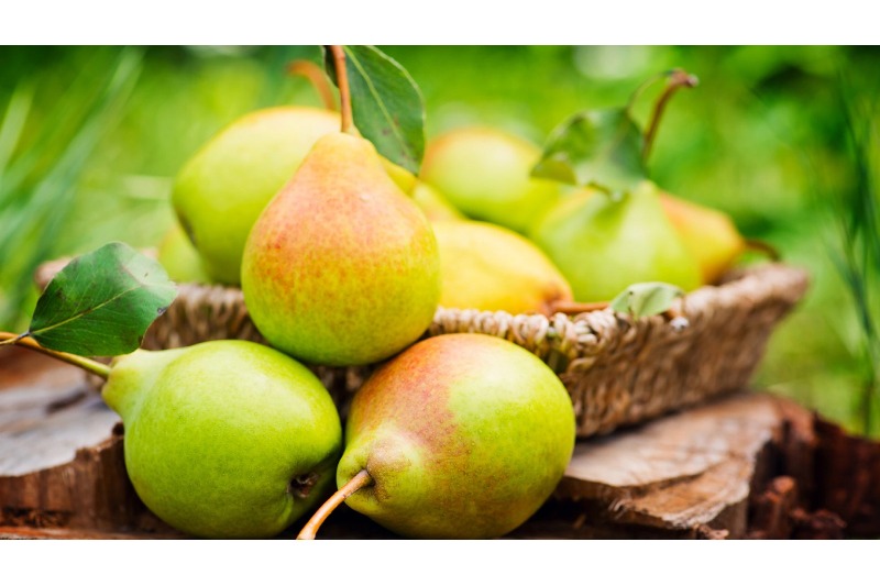 9 Health Advantages of Pears for General Wellbeing Range from Skin Health to Weight Loss