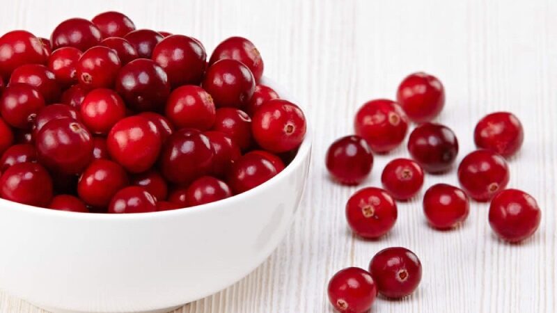 Cranberries have Several Health Advantages, Including Improved Digestion, Weight Loss, and Heart Health