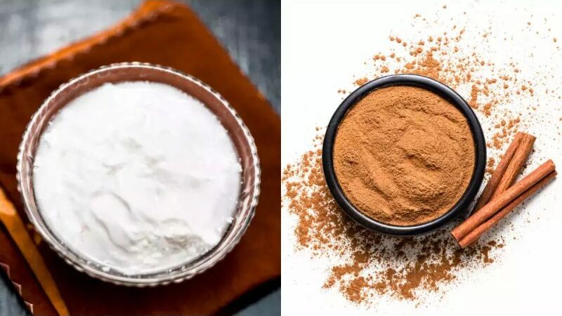 Digestion To Weight Loss: 5 Unexpected Advantages Of Adding A Pinch Of Cinnamon To Curd