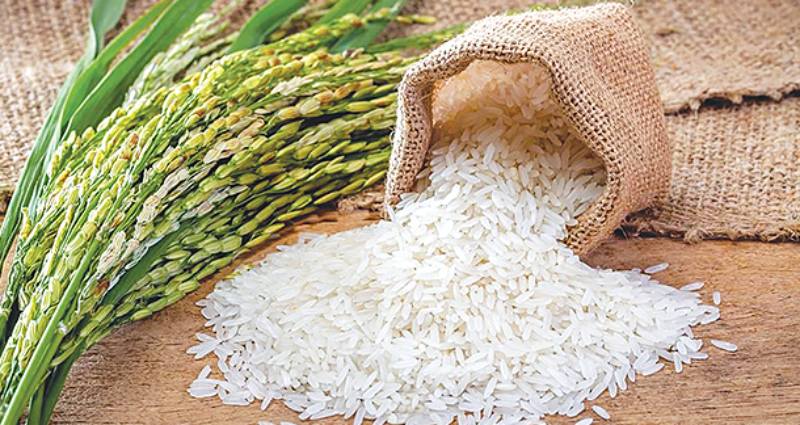 Health Advantages of Fortified Rice Include its High Iron, Vitamin, Zinc, Folic Acid, and More