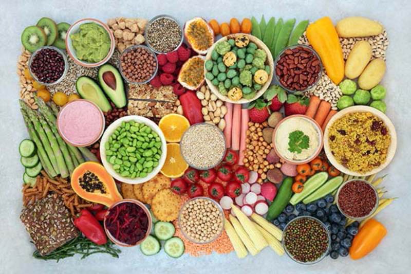 Plant-Based Diet Benefits: That Will Improve Your Digestive Health