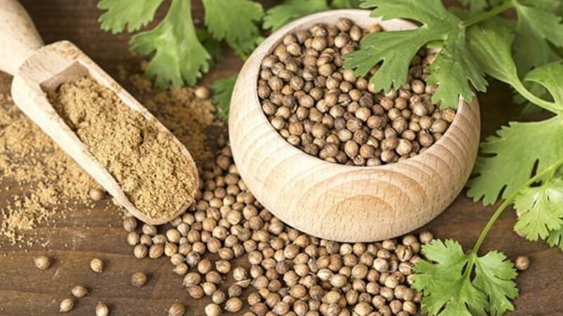 Reduce Bad Cholesterol: To Improve Heart Health, Use Coriander, Basil, and Other Natural Herbs