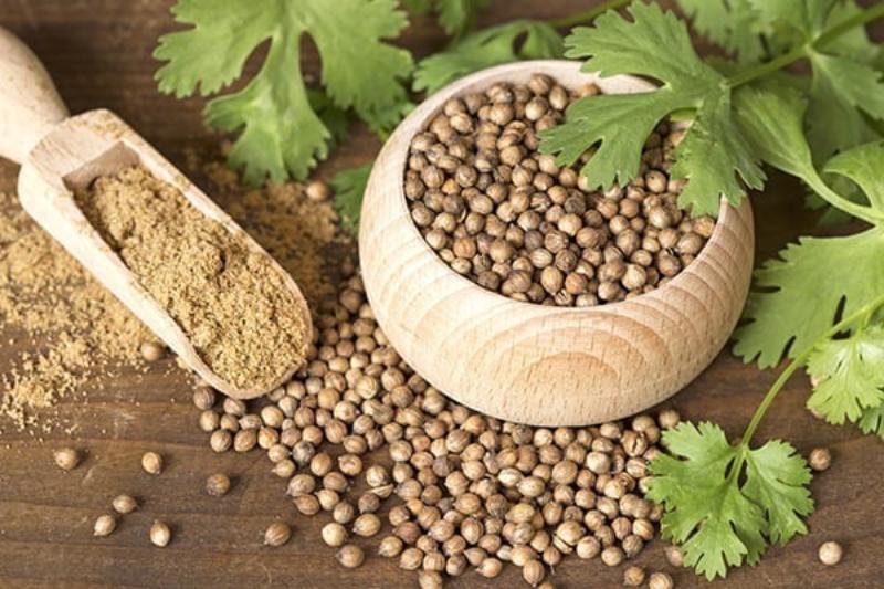 Reduce Bad Cholesterol: To Improve Heart Health, Use Coriander, Basil, and Other Natural Herbs