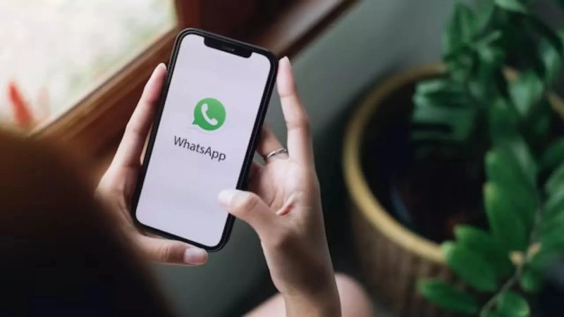 WhatsApp Expands Its Status Feature to Include Private Mentions and Likes