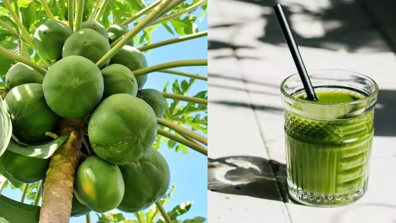 5 Health Advantages of Drinking Raw Papaya Juice Every Day in the Morning on an Empty Stomach