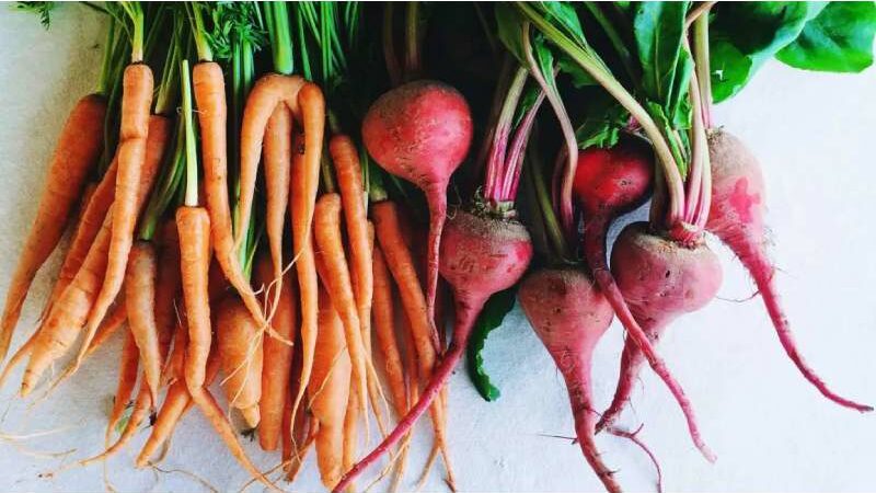 Include these 5 Root Vegetables in Your Diet for Good Health