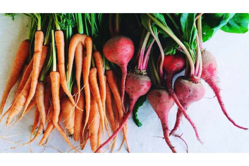 Include these 5 Root Vegetables in Your Diet for Good Health