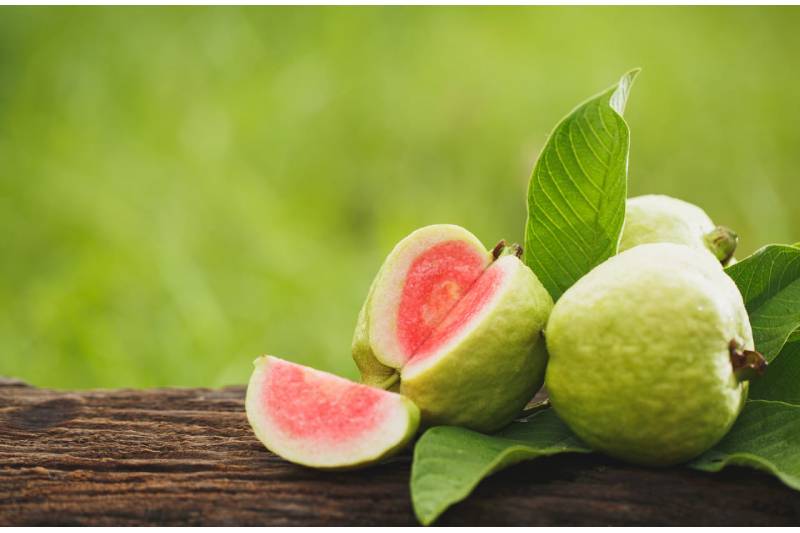 5 Health Benefits of Drinking Guava Leaf Juice