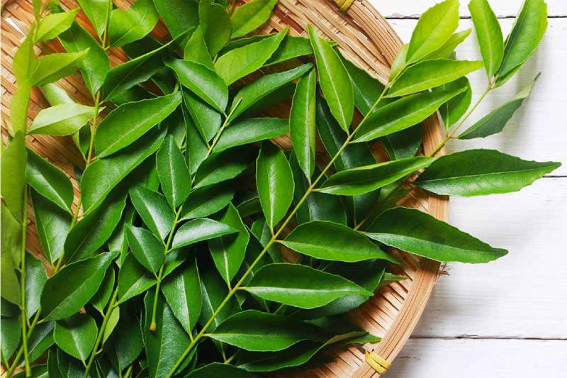 5 Leaves You Can Eat on an Empty Stomach to Stay Healthy