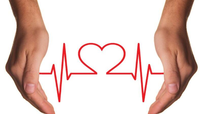 6 Proven Signs of Good Cardiovascular Health for Healthy Hearts