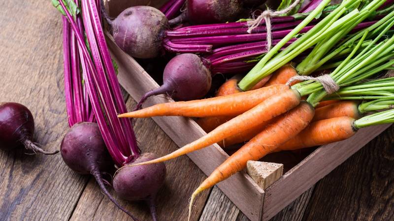 Eat These 5 Wintertime Root Vegetables for Healthy Blood Sugar, Blood Pressure, and Weight