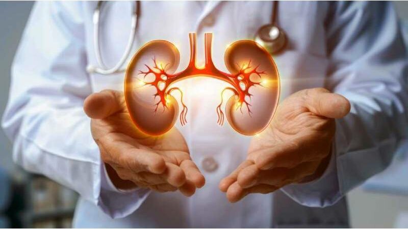 Kidney Damage Management: 5 Daily Routines To Maintain Your Renal Health During the Winter