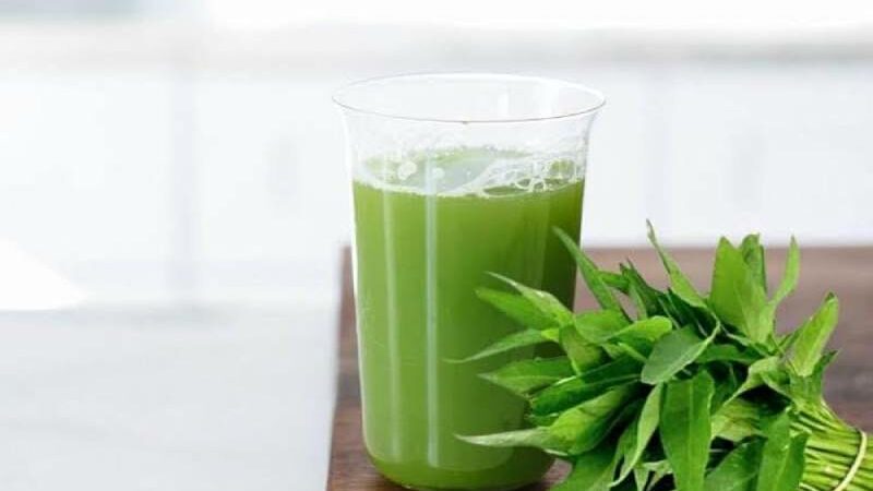 Kulekhara Leaves Juice: 5 Amazing Health Advantages And The Reasons To Drink It Every Day