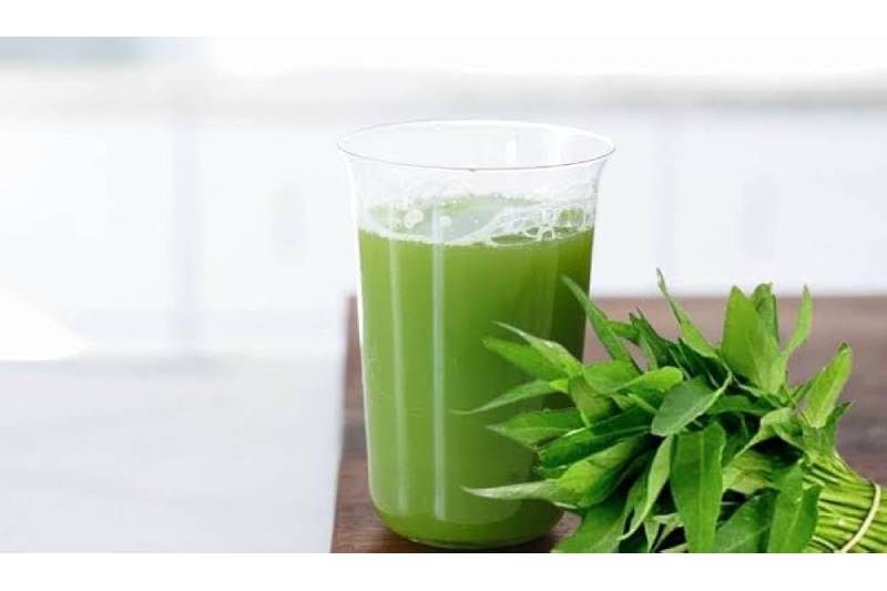 Kulekhara Leaves Juice: 5 Amazing Health Advantages And The Reasons To Drink It Every Day