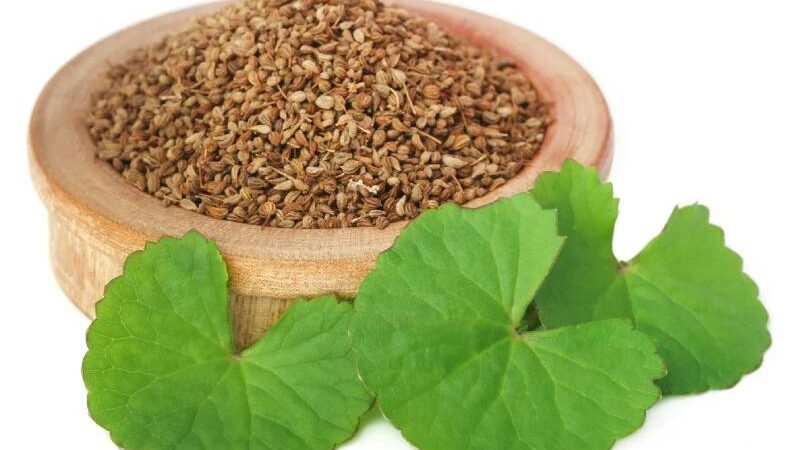 5 Health Advantages of Eating Ajwain After Meals